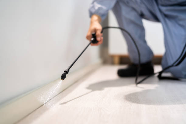 Licensed Pest Control service in Luna Pier, MI - Show Me Pest Control