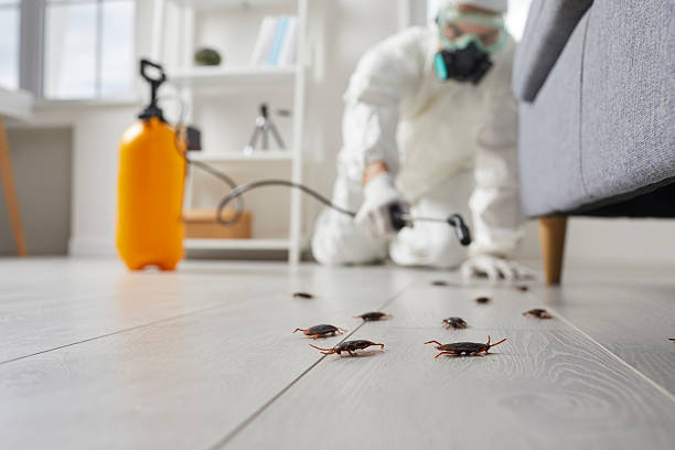 Post-Treatment Bed Bug Interceptor Monitoring in Luna Pier